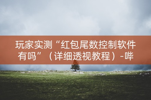玩家实测“红包尾数控制软件有吗”（详细透视教程）-哔哩哔哩