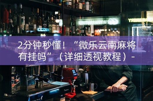 2分钟秒懂！“微乐云南麻将有挂吗”（详细透视教程）-哔哩哔哩