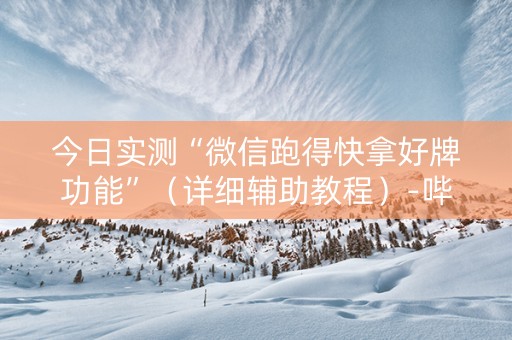 今日实测“微信跑得快拿好牌功能”（详细辅助教程）-哔哩哔哩