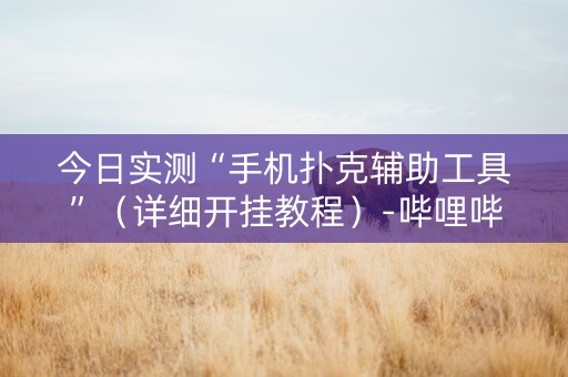 今日实测“手机扑克辅助工具”（详细开挂教程）-哔哩哔哩