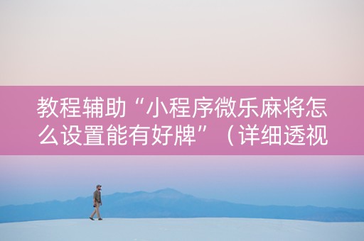 教程辅助“小程序微乐麻将怎么设置能有好牌”（详细透视教程）-哔哩哔哩