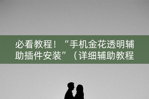 必看教程！“手机金花透明辅助插件安装”（详细辅助教程）-哔哩哔哩