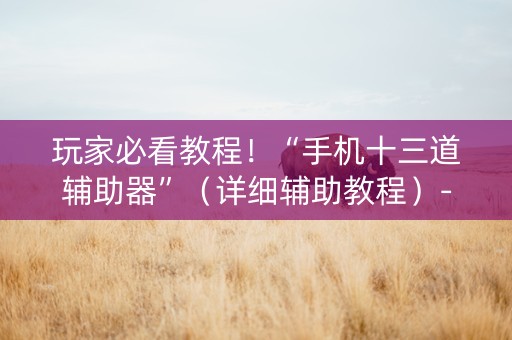 玩家必看教程！“手机十三道辅助器”（详细辅助教程）-哔哩哔哩