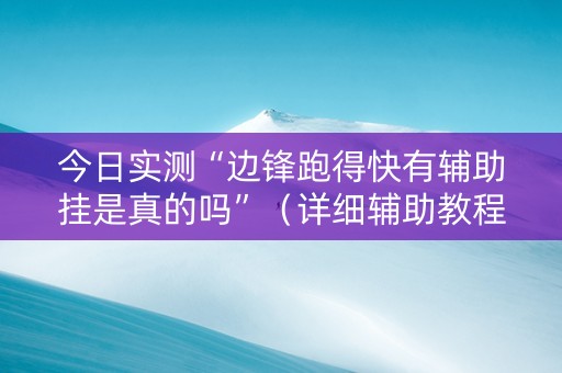 今日实测“边锋跑得快有辅助挂是真的吗”（详细辅助教程）-哔哩哔哩