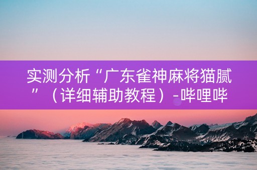 实测分析“广东雀神麻将猫腻”（详细辅助教程）-哔哩哔哩