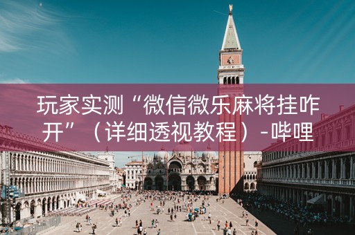玩家实测“微信微乐麻将挂咋开”（详细透视教程）-哔哩哔哩