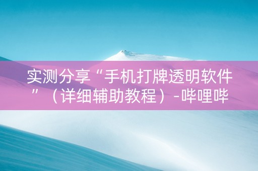 实测分享“手机打牌透明软件”（详细辅助教程）-哔哩哔哩