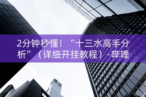 2分钟秒懂！“十三水高手分析”（详细开挂教程）-哔哩哔哩