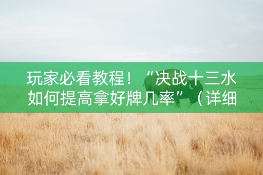 玩家必看教程！“决战十三水如何提高拿好牌几率”（详细开挂教程）-哔哩哔哩