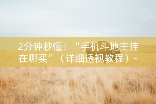 2分钟秒懂！“手机斗地主挂在哪买”（详细透视教程）-哔哩哔哩