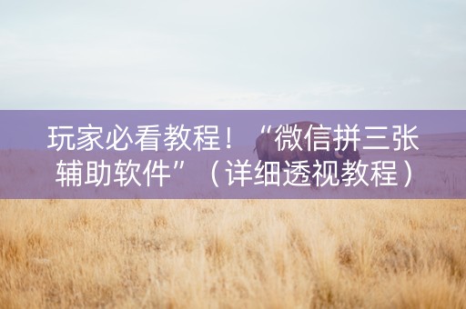 玩家必看教程！“微信拼三张辅助软件”（详细透视教程）-哔哩哔哩