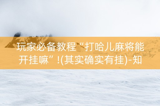 玩家必备教程“打哈儿麻将能开挂嘛”!(其实确实有挂)-知乎