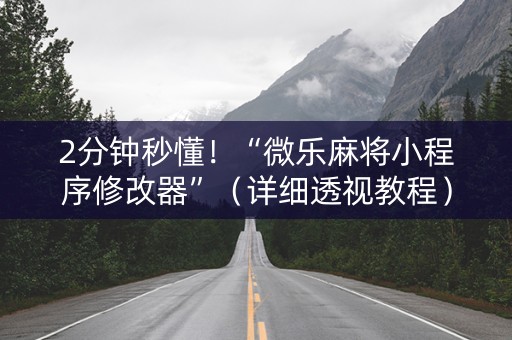 2分钟秒懂！“微乐麻将小程序修改器”（详细透视教程）-哔哩哔哩