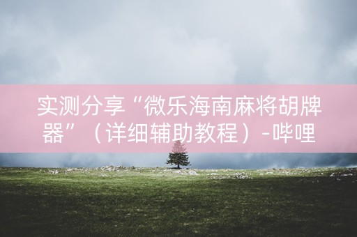 实测分享“微乐海南麻将胡牌器”（详细辅助教程）-哔哩哔哩