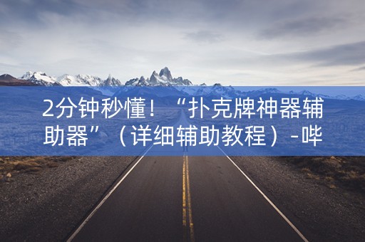 2分钟秒懂！“扑克牌神器辅助器”（详细辅助教程）-哔哩哔哩