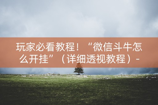 玩家必看教程！“微信斗牛怎么开挂”（详细透视教程）-哔哩哔哩