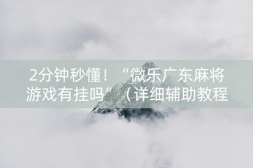 2分钟秒懂！“微乐广东麻将游戏有挂吗”（详细辅助教程）-哔哩哔哩