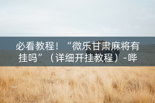 必看教程！“微乐甘肃麻将有挂吗”（详细开挂教程）-哔哩哔哩