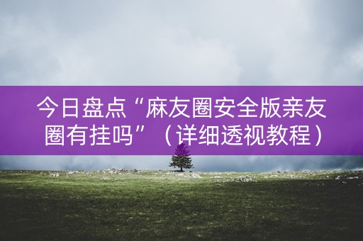 今日盘点“麻友圈安全版亲友圈有挂吗”（详细透视教程）-哔哩哔哩