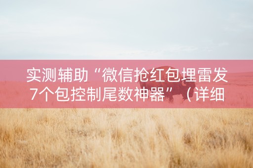 实测辅助“微信抢红包埋雷发7个包控制尾数神器”（详细透视教程）-哔哩哔哩