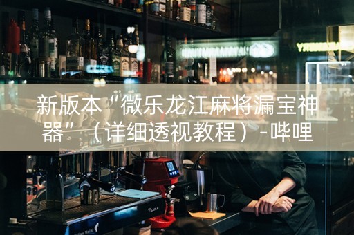 新版本“微乐龙江麻将漏宝神器”（详细透视教程）-哔哩哔哩