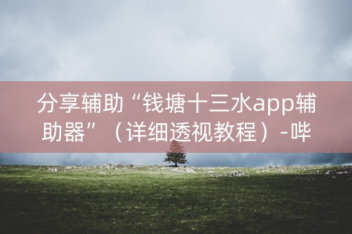 分享辅助“钱塘十三水app辅助器”（详细透视教程）-哔哩哔哩