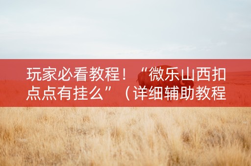玩家必看教程！“微乐山西扣点点有挂么”（详细辅助教程）-哔哩哔哩