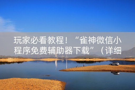 玩家必看教程！“雀神微信小程序免费辅助器下载”（详细辅助教程）-哔哩哔哩