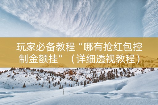 玩家必备教程“哪有抢红包控制金额挂”（详细透视教程）-哔哩哔哩
