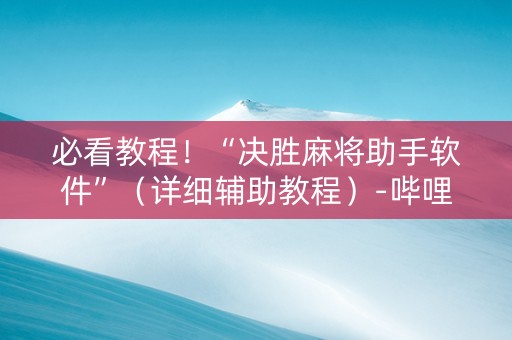 必看教程！“决胜麻将助手软件”（详细辅助教程）-哔哩哔哩