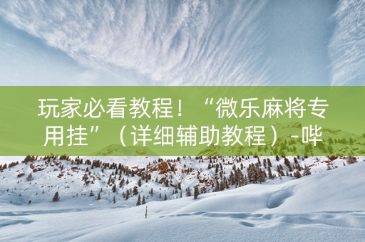 玩家必看教程！“微乐麻将专用挂”（详细辅助教程）-哔哩哔哩