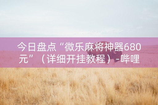 今日盘点“微乐麻将神器680元”（详细开挂教程）-哔哩哔哩