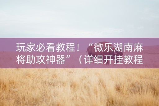 玩家必看教程！“微乐湖南麻将助攻神器”（详细开挂教程）-哔哩哔哩