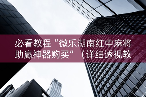 必看教程“微乐湖南红中麻将助赢神器购买”（详细透视教程）-哔哩哔哩