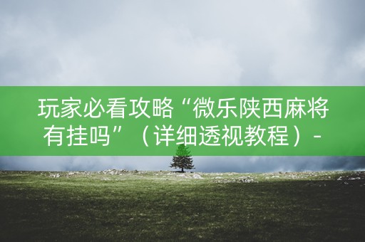 玩家必看攻略“微乐陕西麻将有挂吗”（详细透视教程）-哔哩哔哩