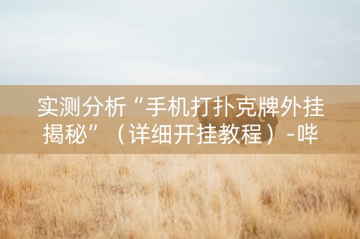 实测分析“手机打扑克牌外挂揭秘”（详细开挂教程）-哔哩哔哩
