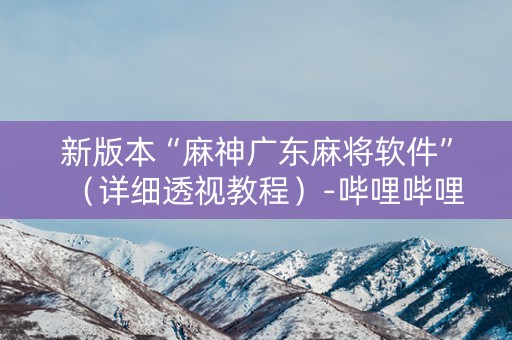 新版本“麻神广东麻将软件”（详细透视教程）-哔哩哔哩