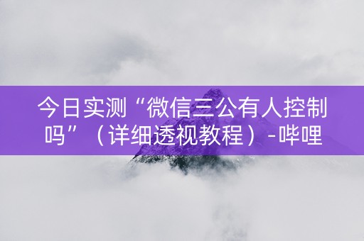 今日实测“微信三公有人控制吗”（详细透视教程）-哔哩哔哩