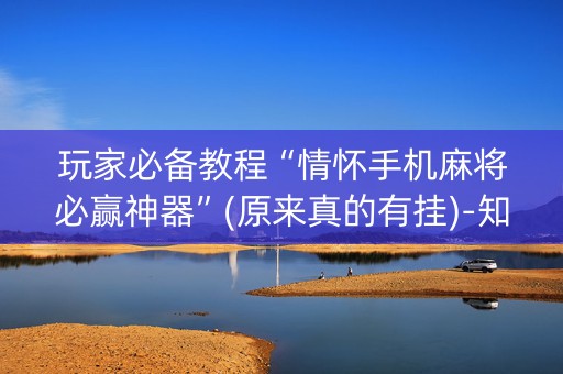 玩家必备教程“情怀手机麻将必赢神器”(原来真的有挂)-知乎