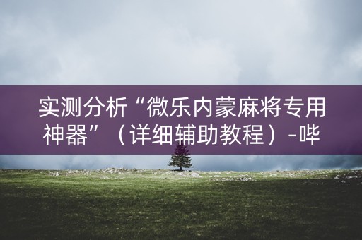 实测分析“微乐内蒙麻将专用神器”（详细辅助教程）-哔哩哔哩