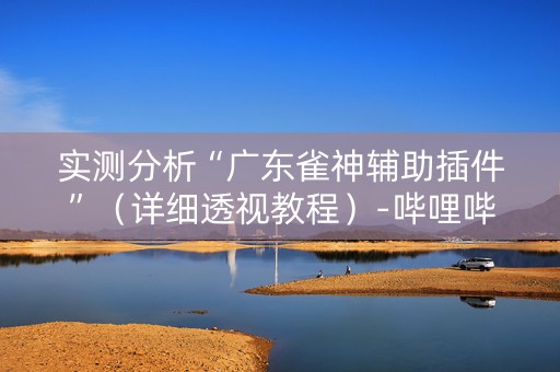 实测分析“广东雀神辅助插件”（详细透视教程）-哔哩哔哩