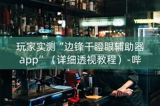 玩家实测“边锋干瞪眼辅助器app”（详细透视教程）-哔哩哔哩
