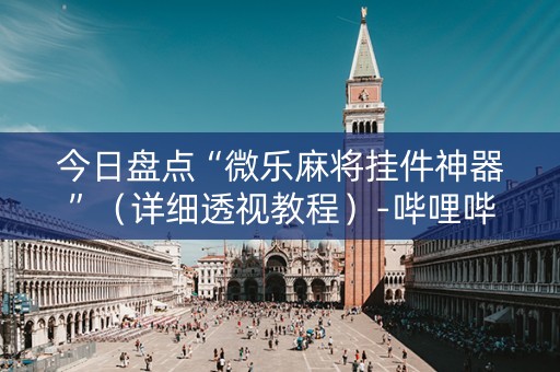 今日盘点“微乐麻将挂件神器”（详细透视教程）-哔哩哔哩