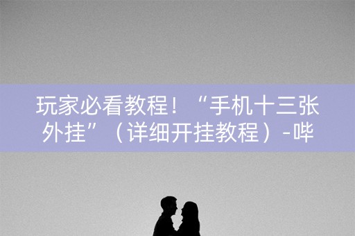 玩家必看教程！“手机十三张外挂”（详细开挂教程）-哔哩哔哩