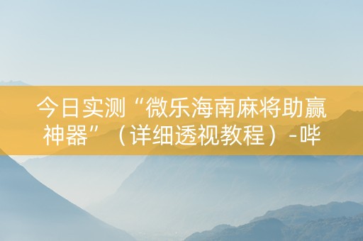 今日实测“微乐海南麻将助赢神器”（详细透视教程）-哔哩哔哩