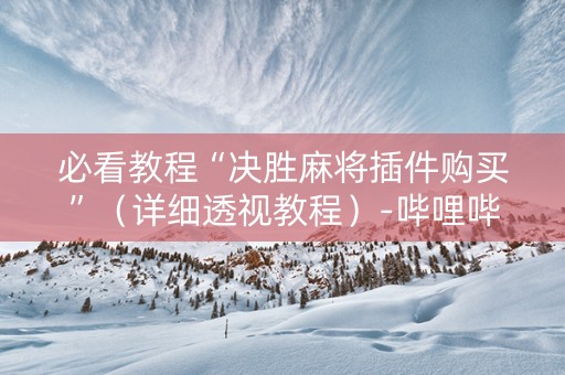 必看教程“决胜麻将插件购买”（详细透视教程）-哔哩哔哩