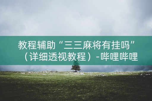 教程辅助“三三麻将有挂吗”（详细透视教程）-哔哩哔哩