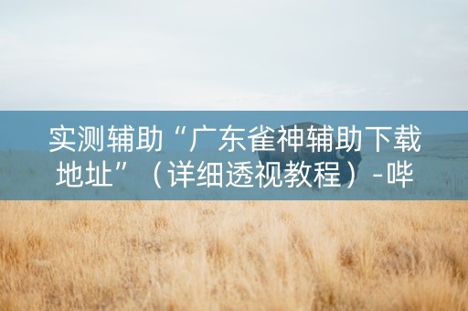 实测辅助“广东雀神辅助下载地址”（详细透视教程）-哔哩哔哩
