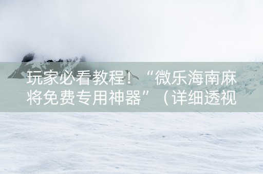 玩家必看教程！“微乐海南麻将免费专用神器”（详细透视教程）-哔哩哔哩
