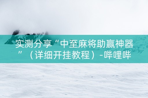 实测分享“中至麻将助赢神器”（详细开挂教程）-哔哩哔哩